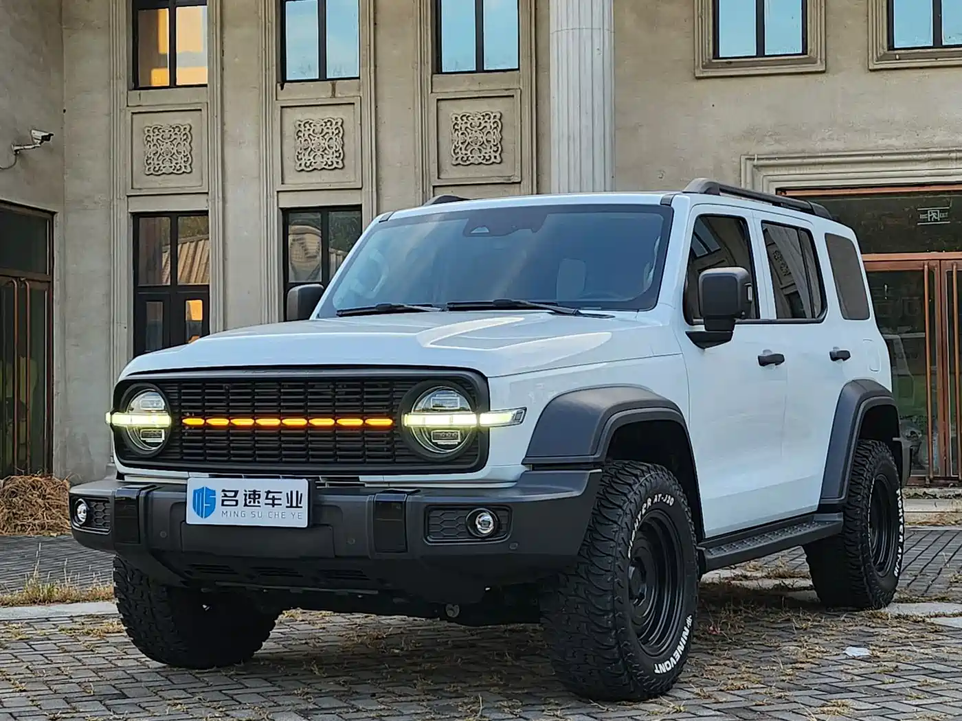 TANK 300