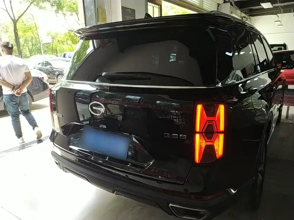 GAC Trumpchi Trumpchi GS8 2022 Pilot Series 2.0TGDI 2WD Luxury Smart Connect Edition (7-Seater) фото 6