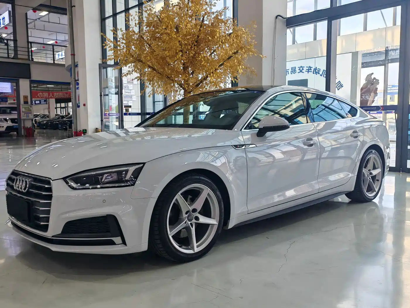 Audi A5 (Import) 2019 Sportback 40 TFSI Fashion