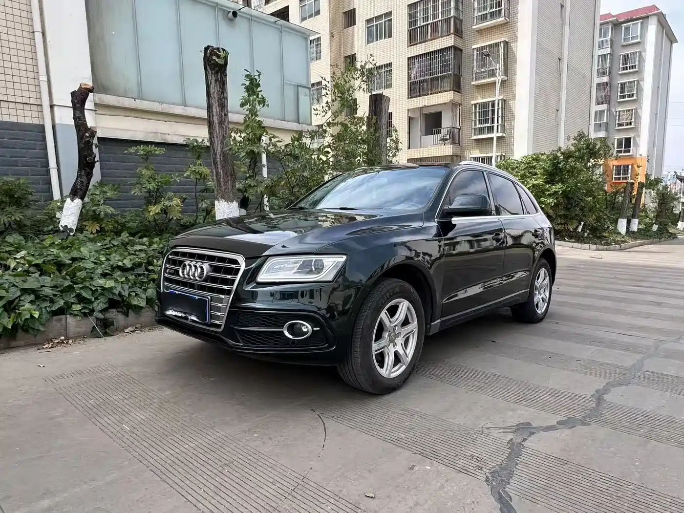 Audi Q5 2010 2.0TFSI Progressive фото 3