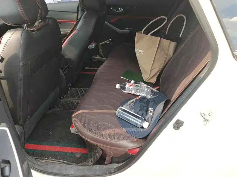 Venucia D60 2020 2019 100K Glory 1.6L XL CVT Chen Ku Edition China VI