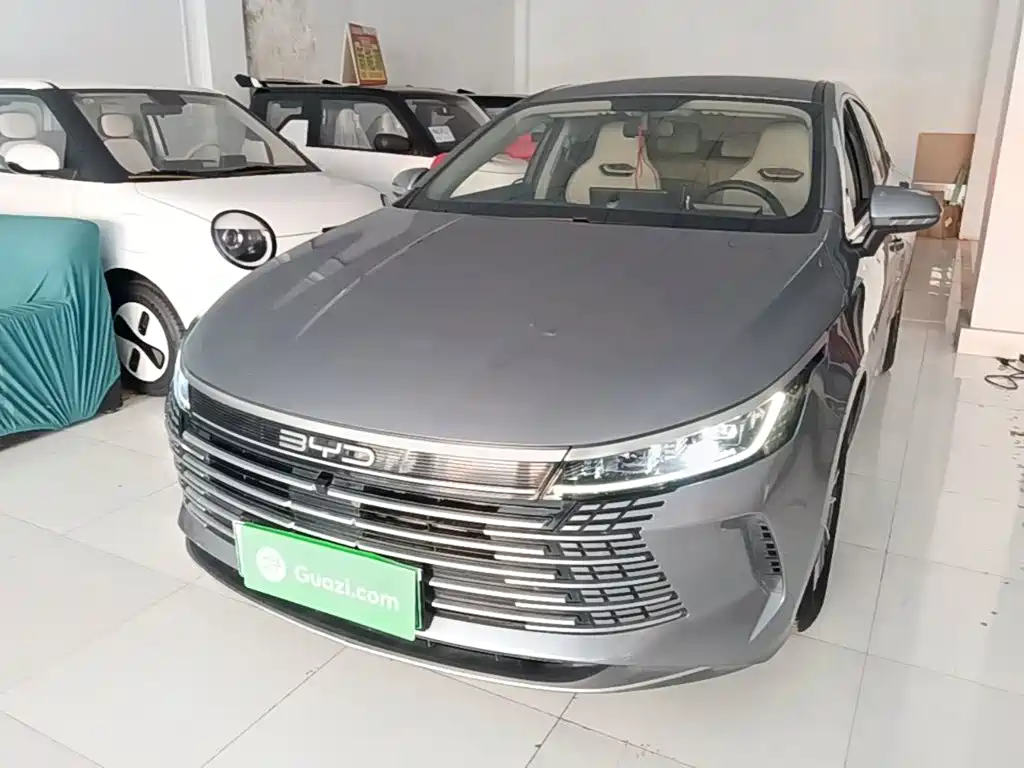 BYD Destroyer 05 2025 2024 Glory Edition DM-i 55KM Luxury