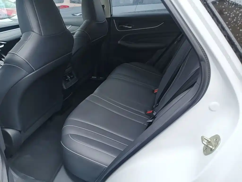 Venucia Big V 2022 2021 260T Idol Edition