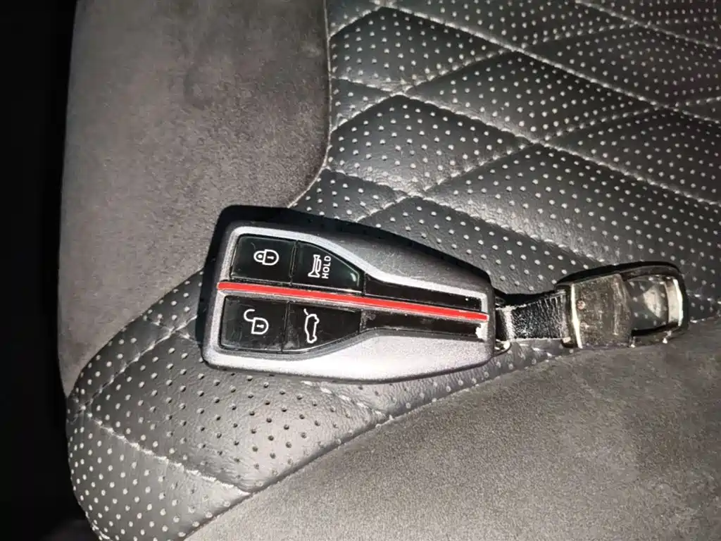 Hongqi HS5 2022 Facelift 2.0T Smart Flag Enjoyment Edition фото 9