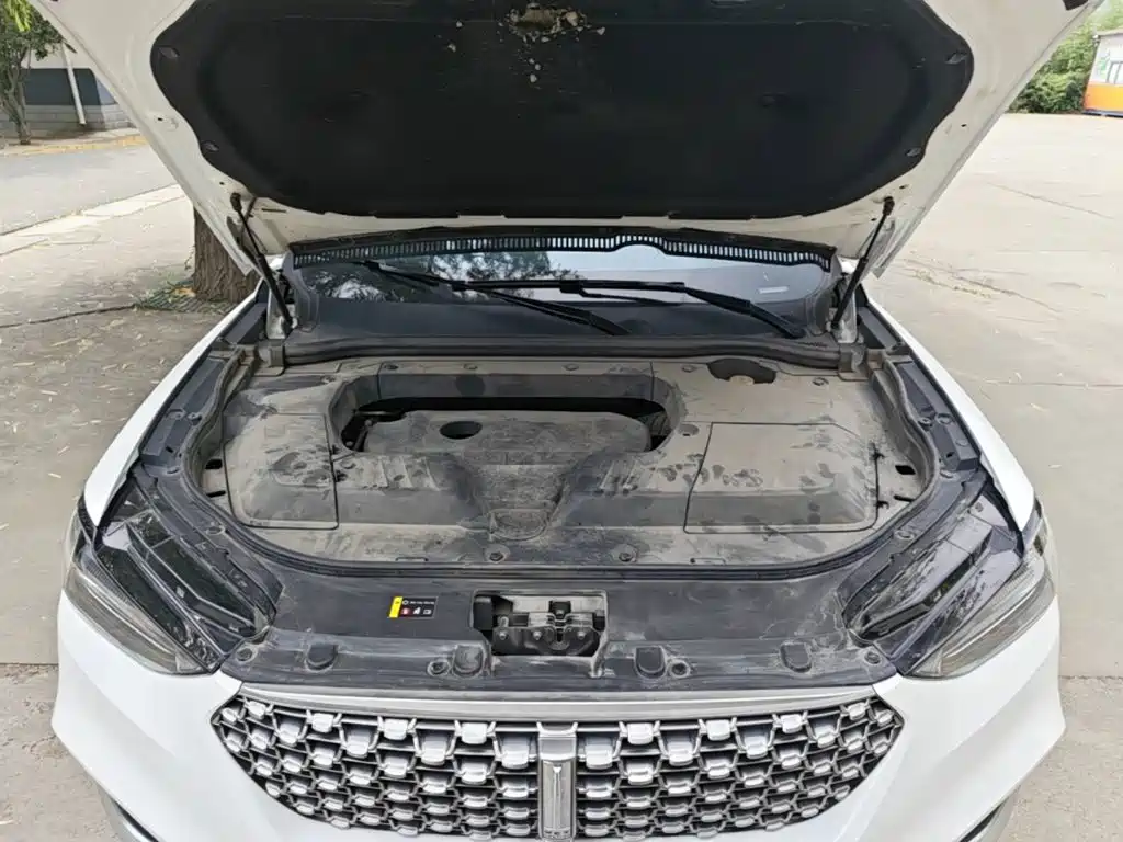 WEY VV6 2021 2021 2.0T 2WD Smart Protection+