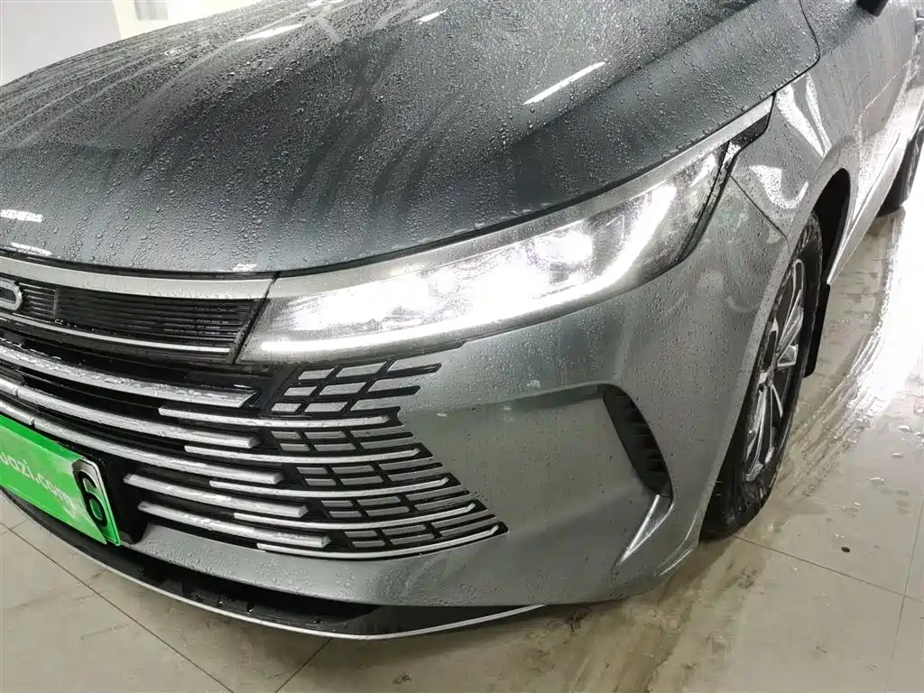 BYD Destroyer 05 2024 Glory Edition DM-i 55KM Luxury фото 18