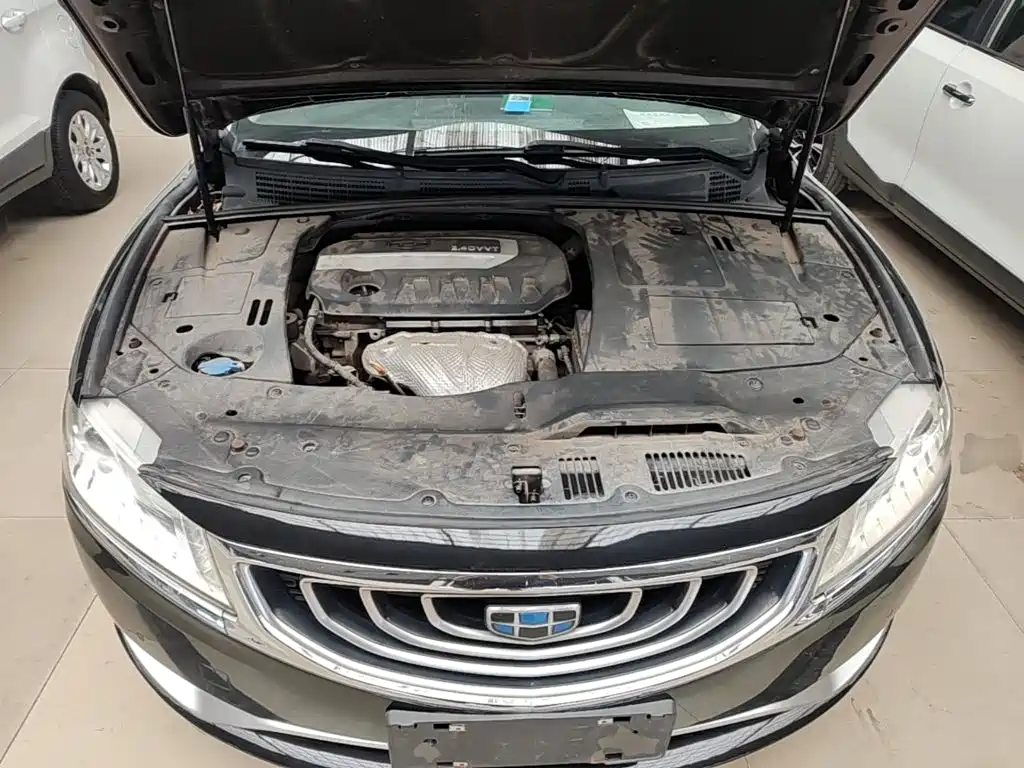 Photo 20 - Geely Borui