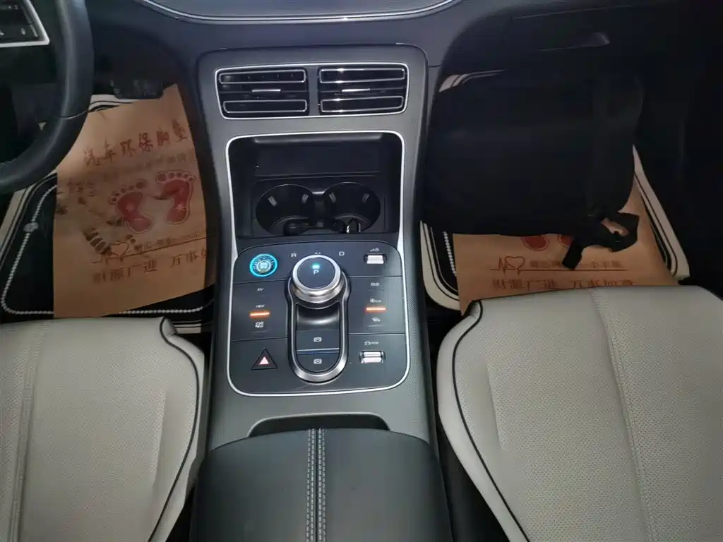 BYD Destroyer 05 2024 Glory Edition DM-i 55KM Luxury фото 10
