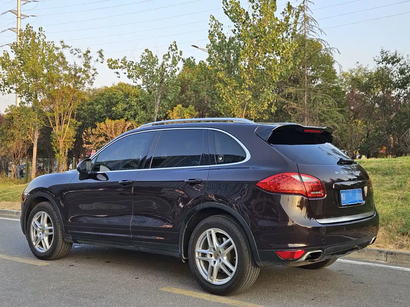Porsche Cayenne 2014 Cayenne Platinum Edition 3.0T фото 11
