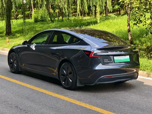 Tesla Model 3 2023 Rear-Wheel Drive — фото 4