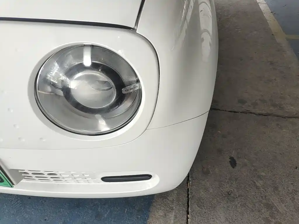 Ora Black Cat 2019 2019 Model 351km Smart Fun Edition