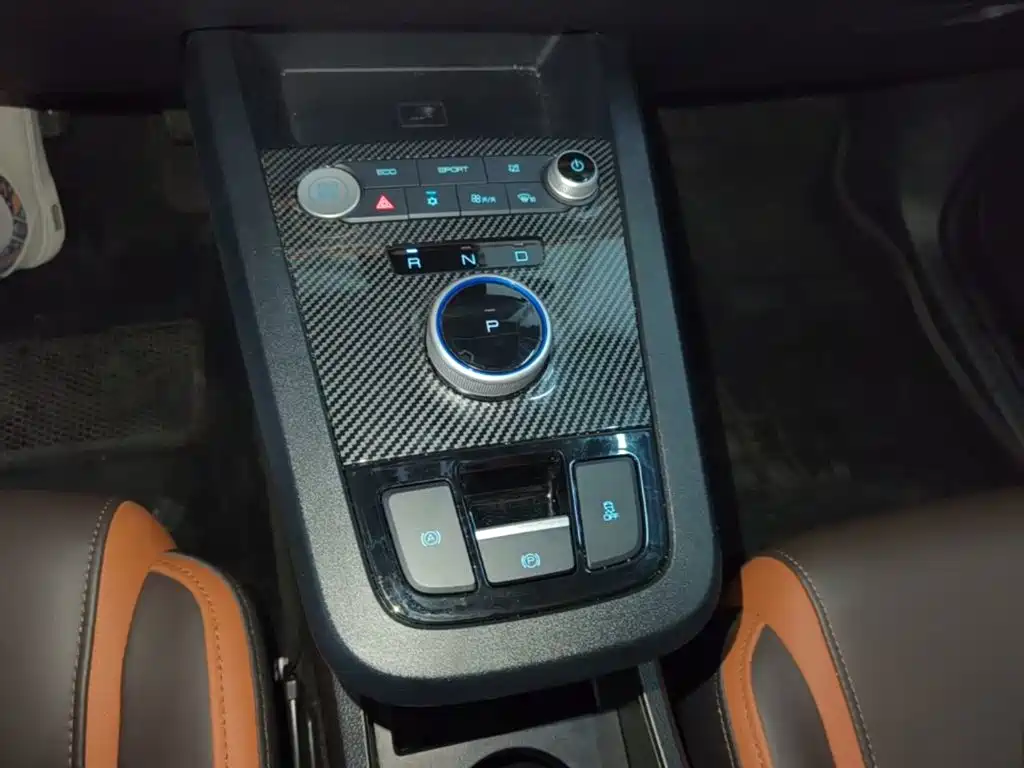 BYD e2 2021 2020 Upgraded Long Range Premium