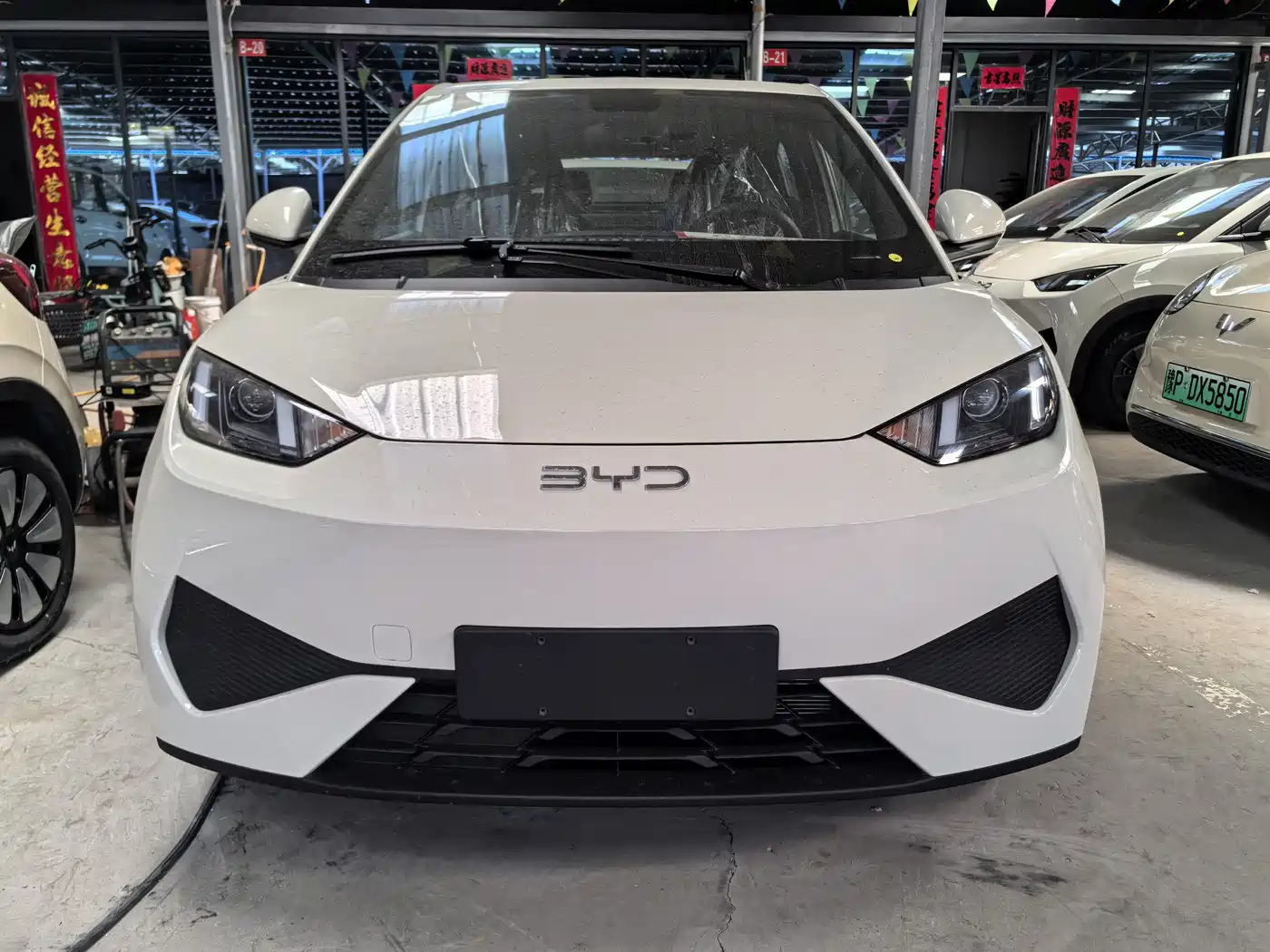 BYD Seagull 2026 2025 305km Vitality
