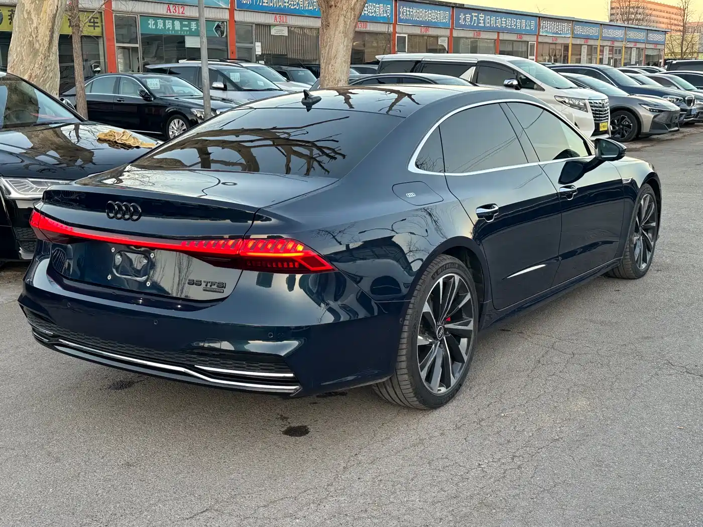 Audi A7L 2022 55 TFSI quattro S-line Horizon Edition Crystal Flow Package фото 16