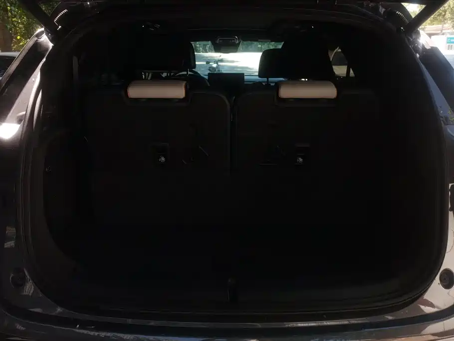 BYD Tang New Energy 2022 EV 635KM AWD Flagship фото 4
