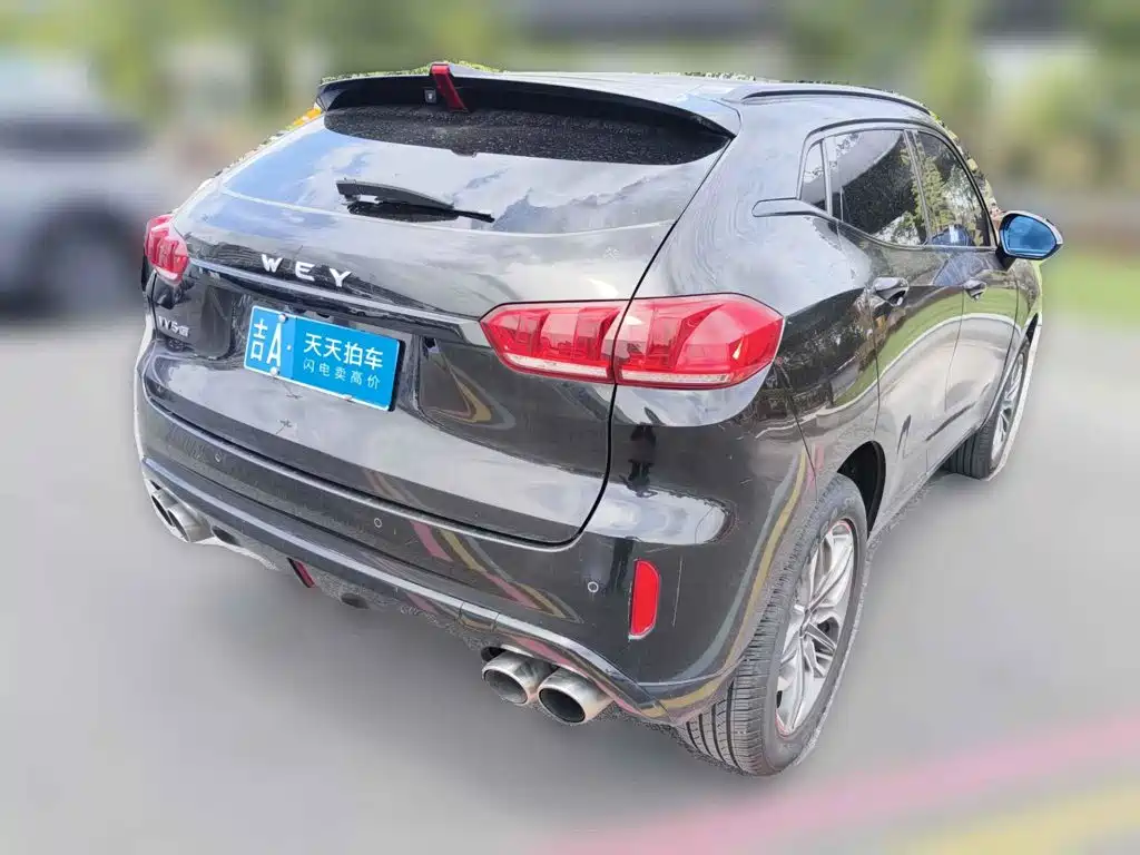 WEY VV5 2017 2017 2.0T Super Luxury Model