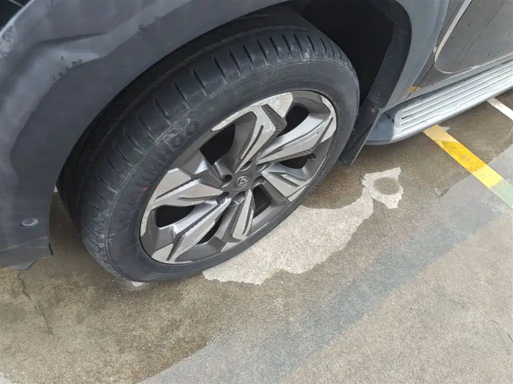 SAIC Maxus D90 2017 2.0T Automatic 4WD Sirius фото 25