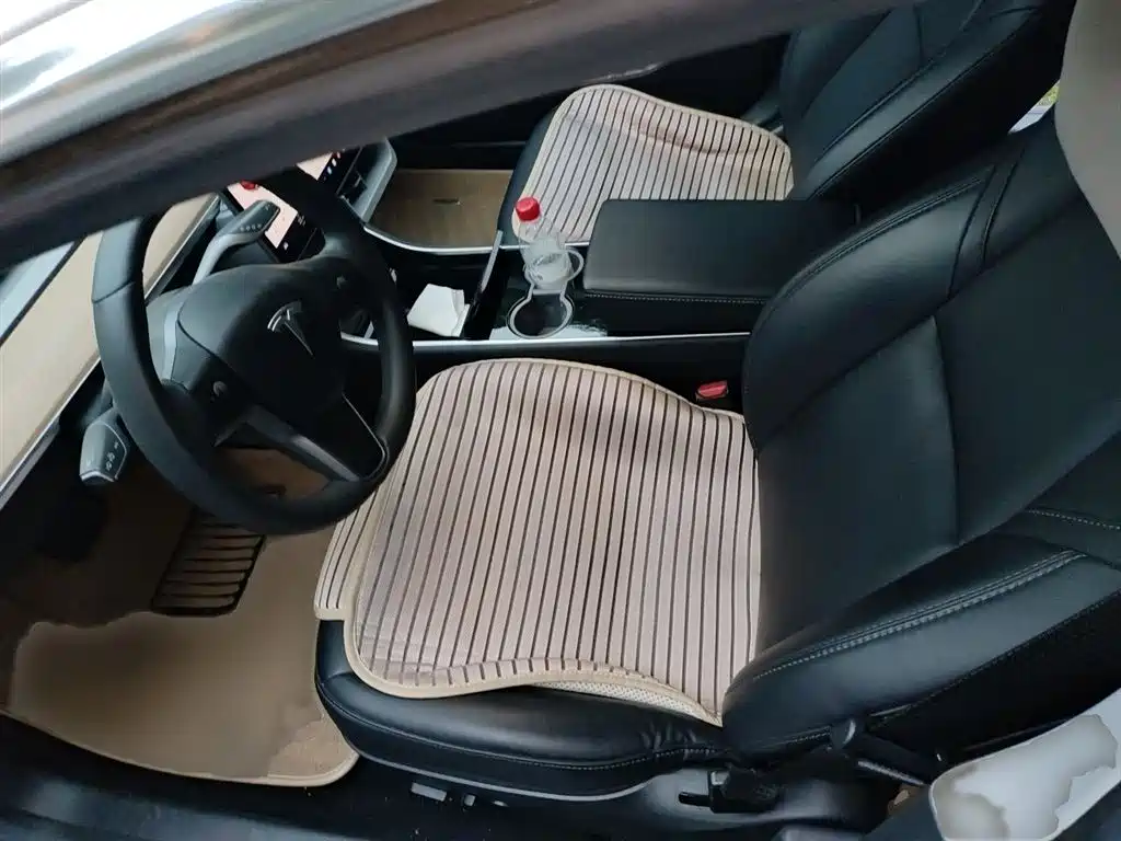 TESLA MODEL 3 (IMPORTED)