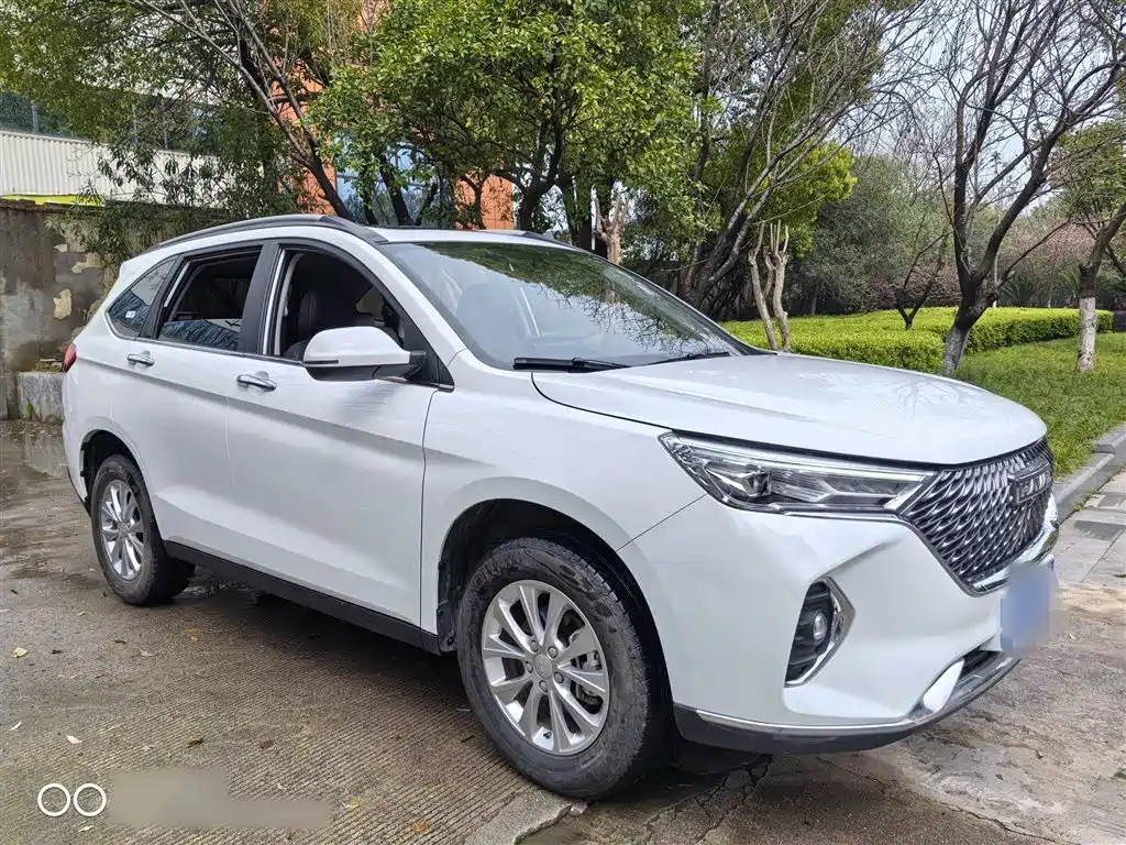 HAVAL M6