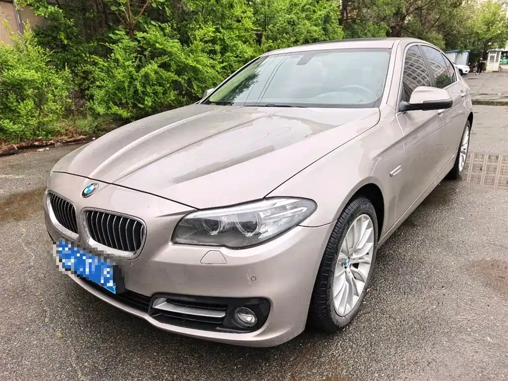 BMW 5 Series 2013 530Li Leadership