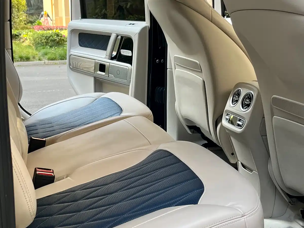 Mercedes-Benz G-Class 2020 G 500 Time Inscription Special Edition фото 19