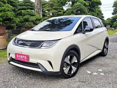 BYD Dolphin
