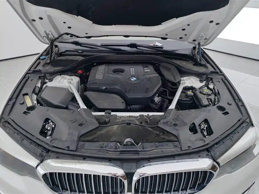 BMW 5 Series 2020 525Li Luxury Package фото 10