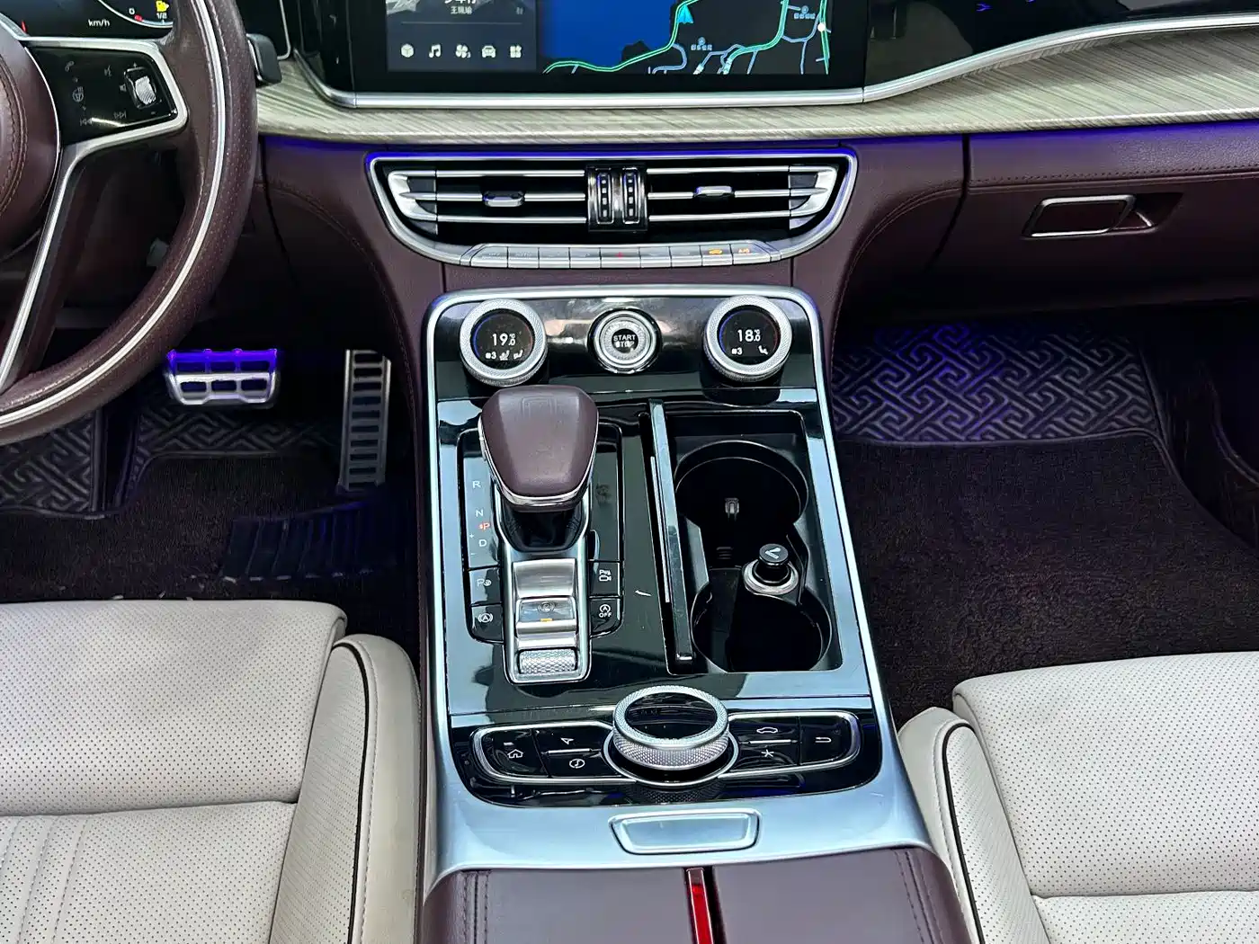 Hongqi H9 2021 2020 3.0T Smart Connect Flagship 4-Seater