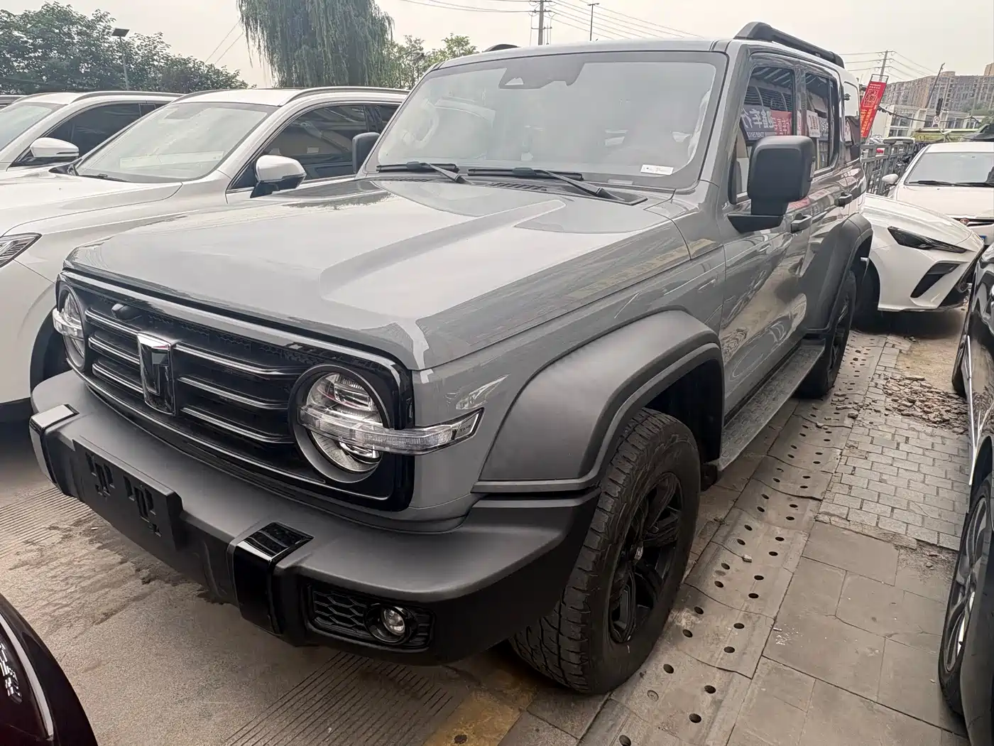 Tank 300 2021 Off-road Version 2.0T Conqueror