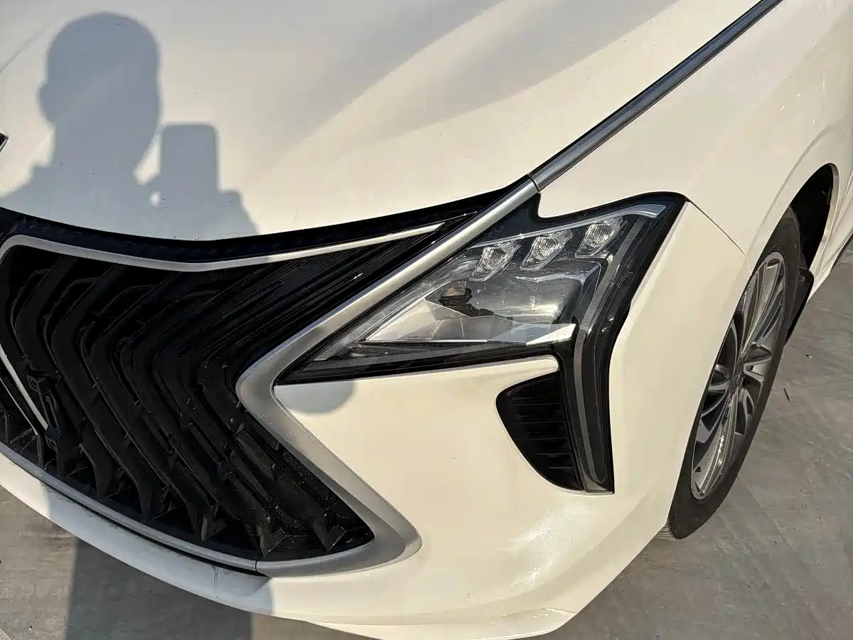 DONGFENG POPULAR YACHTS