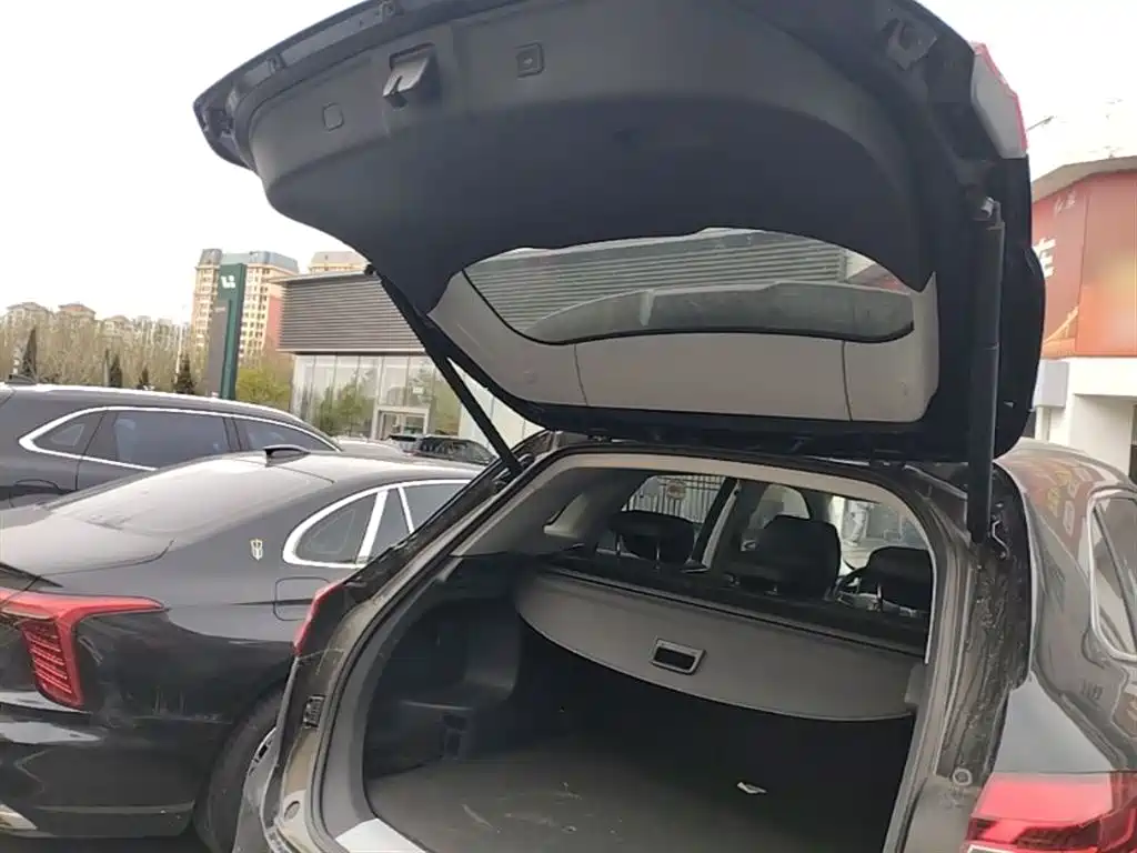 Hongqi HS5 2022 Facelift 2.0T Smart Flag Enjoyment AWD Edition фото 19