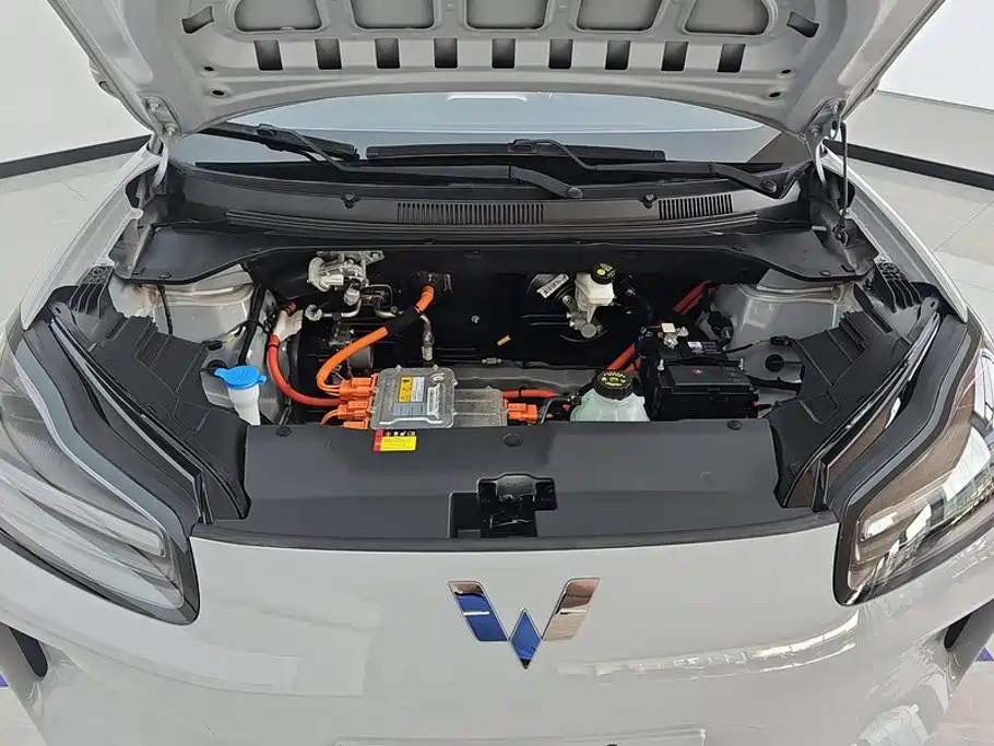 Wuling Motors Wuling Binguo PLUS 2025 2024 Model 330km 5-Seater