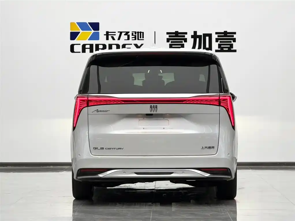 Buick Century 2025 2.0T 7-Seater World Edition фото 5