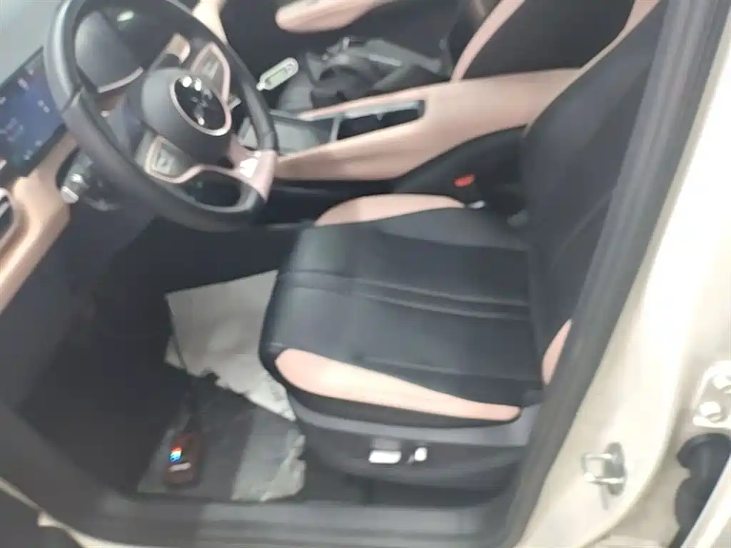 BYD Seagull 2025 Smart Drive Edition 305km Freedom Version фото 15