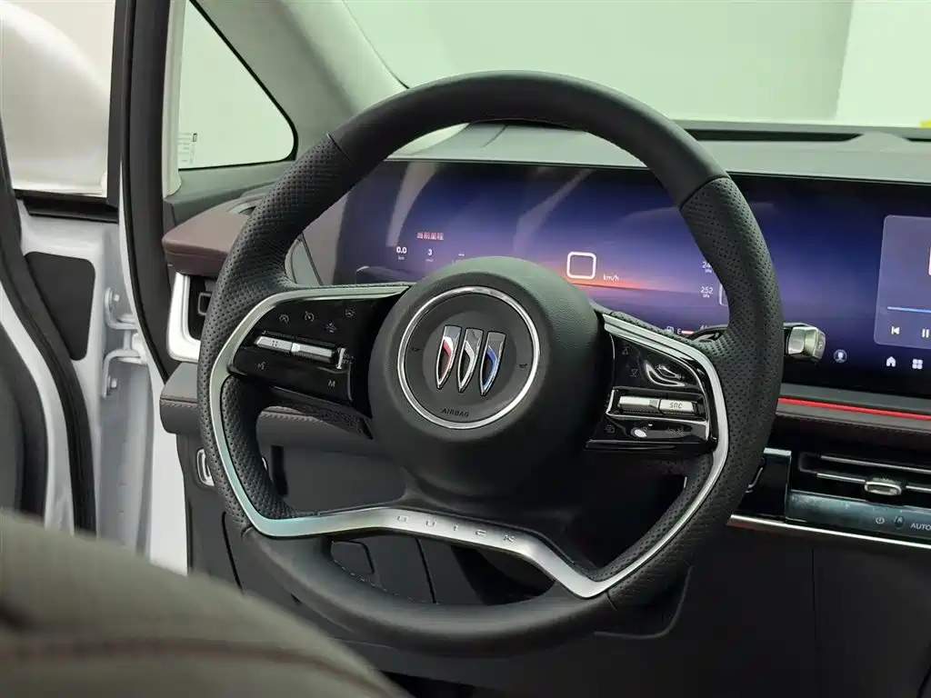 Buick Century 2025 2.0T 7-Seater World Edition фото 13