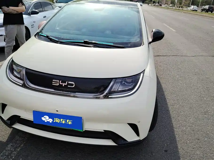 BYD Dolphin 2024 Glory Edition 420km Freedom Edition