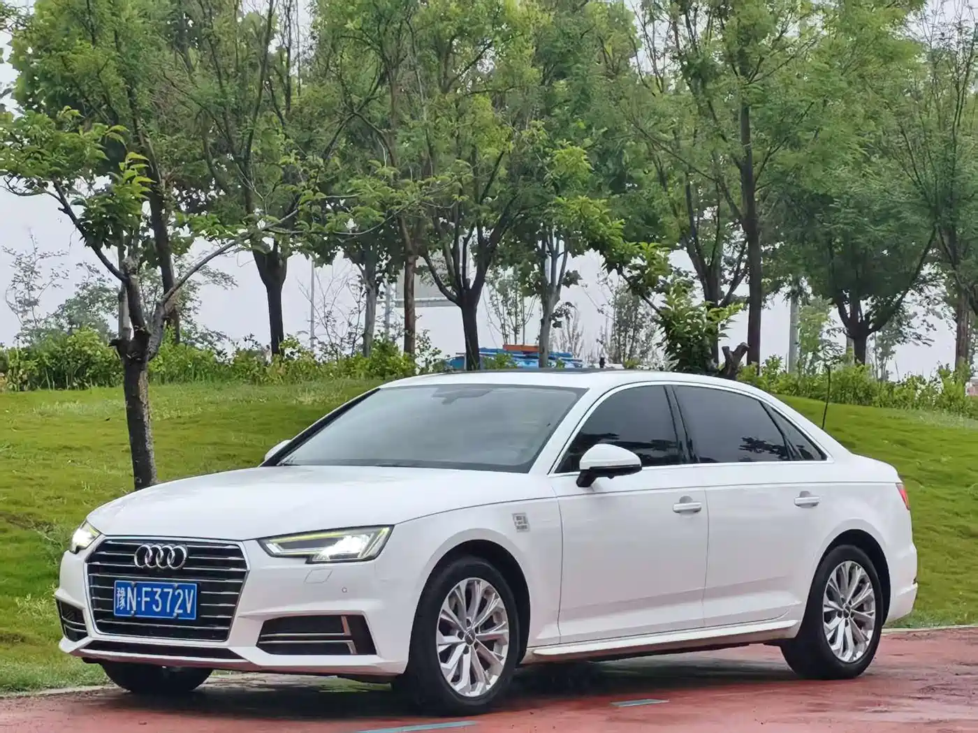 Audi A4L 2019 40 TFSI Progressive (China VI)
