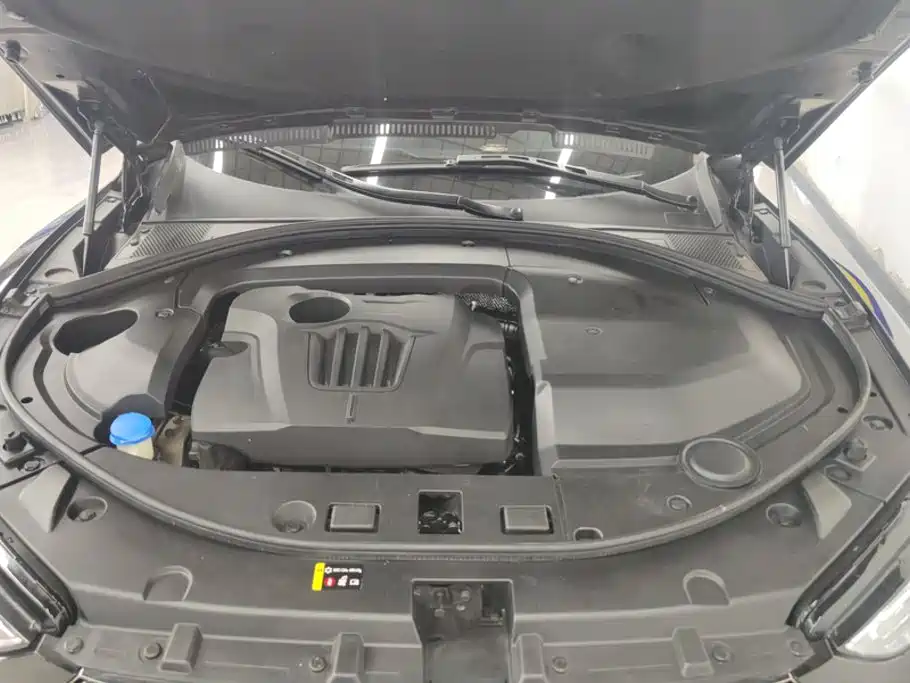 WEY VV7 2020 2020 2.0T Super Luxury