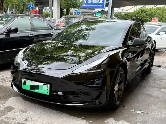 Tesla Model 3 2021 Facelift Standard Range RWD Upgrade 3D1