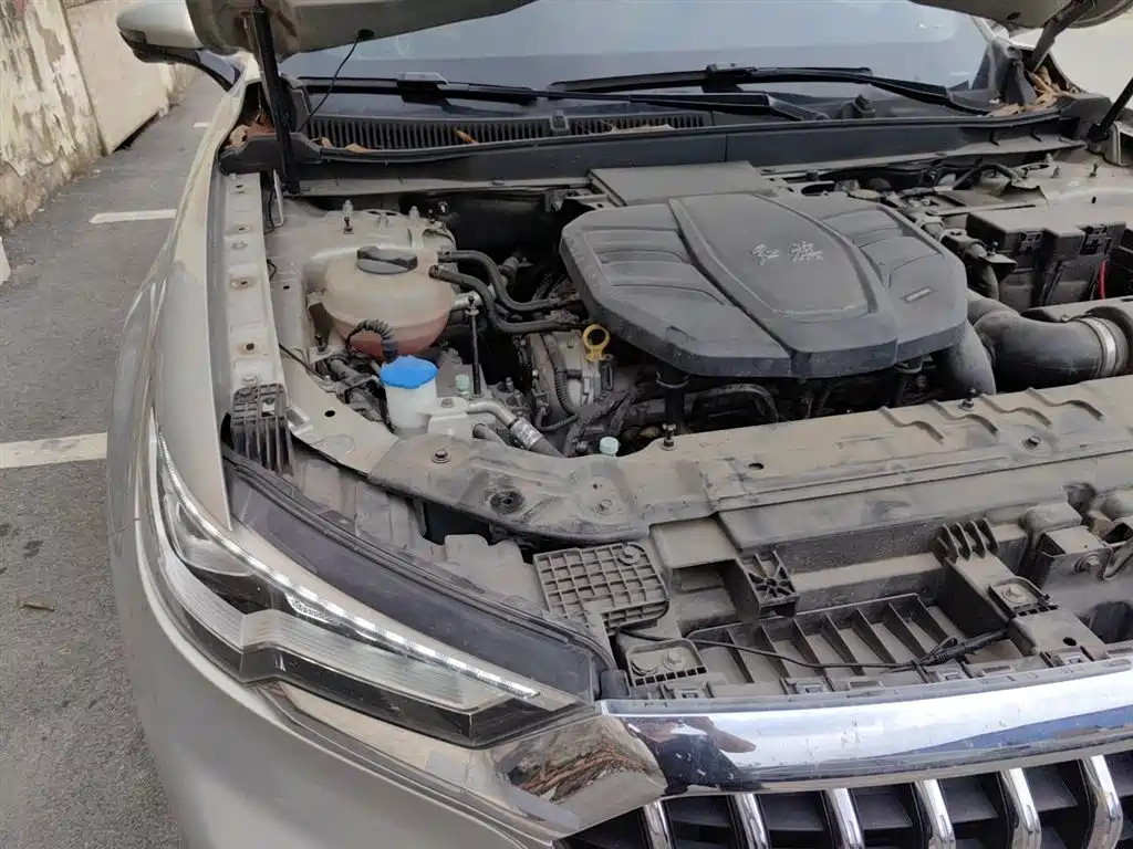 Hongqi HS5 2019 2.0T Smart Connect Enjoy Edition фото 21