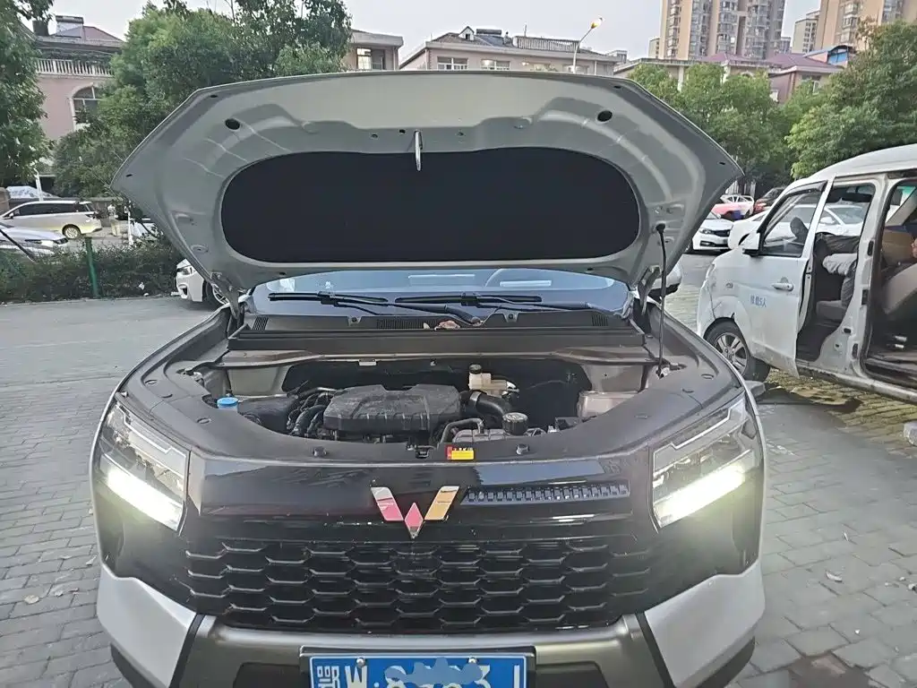 Photo 21 - Wuling Motors Starlight 560