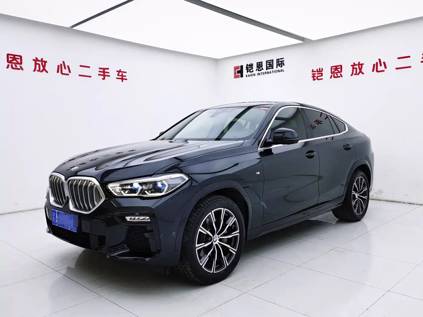 BMW X6 2020 xDrive40i M Sport Package