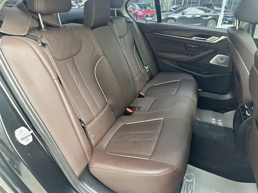 BMW 5 Series 2021 530Li Leading Luxury Package фото 8