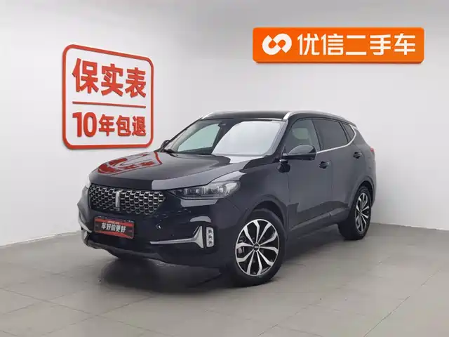 wei-pai wei-brand-vv6