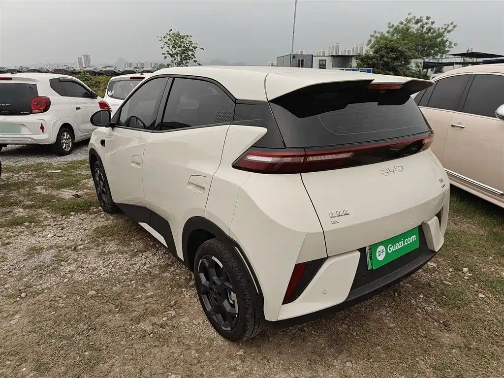 BYD Seagull 2025 Smart Drive Edition 305km Freedom Version фото 23
