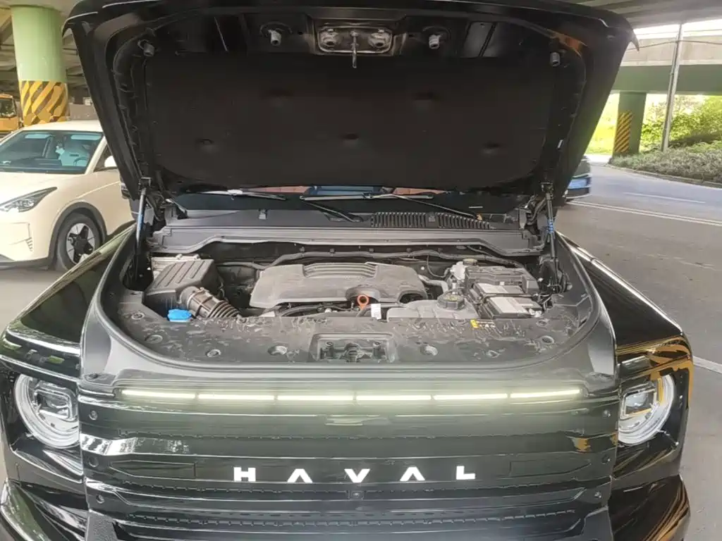 Haval H9 2025 2024 2.0T Gasoline AWD Extreme Edition