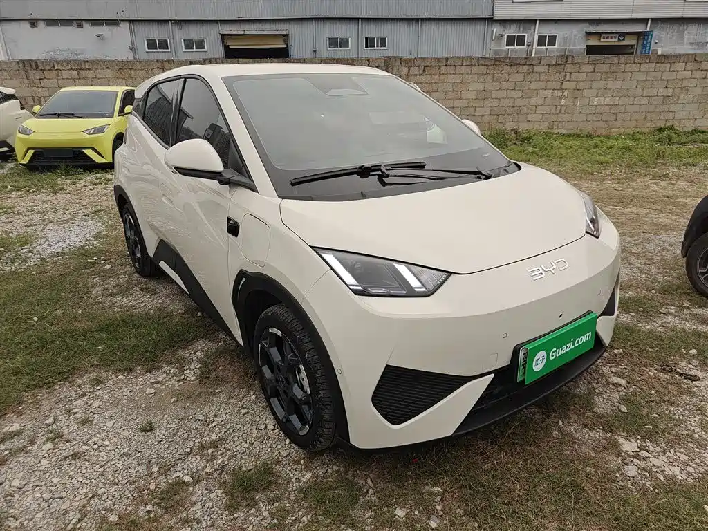 BYD Seagull 2025 Smart Drive Edition 305km Freedom Version фото 22