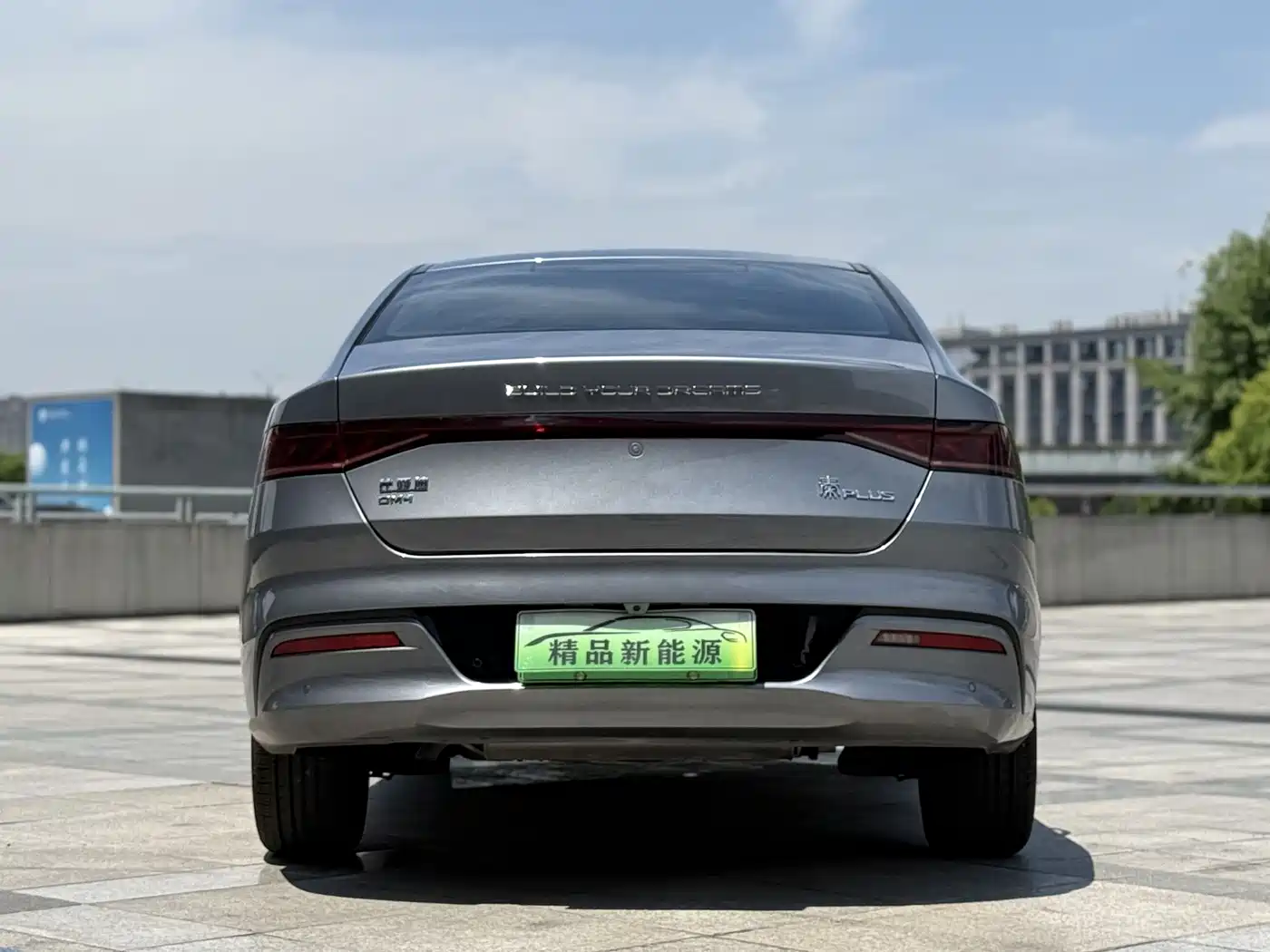 BYD Qin PLUS 2023 Champion Edition DM-i 120KM Excellence фото 5