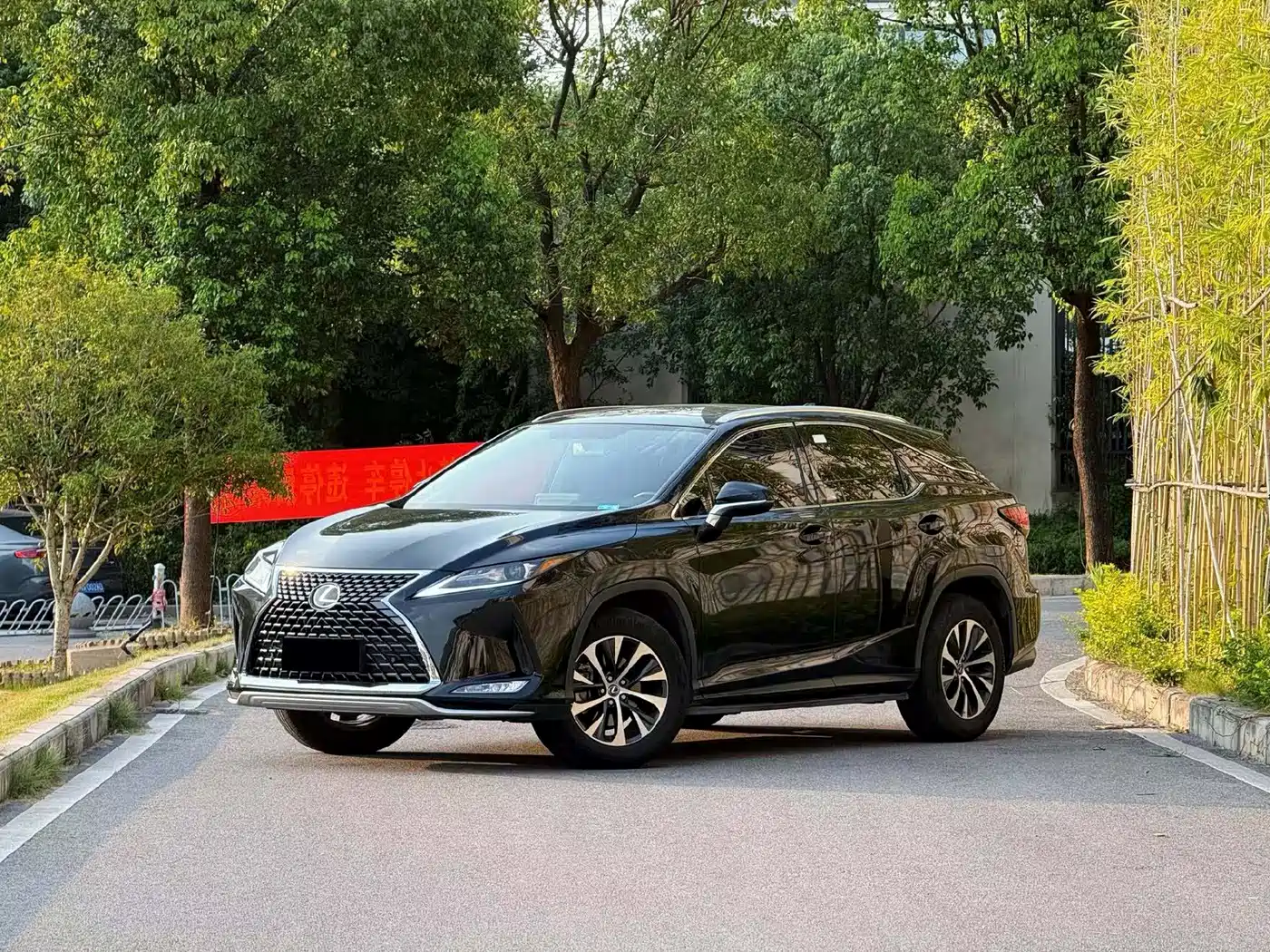 Фото 1 - Lexus RX