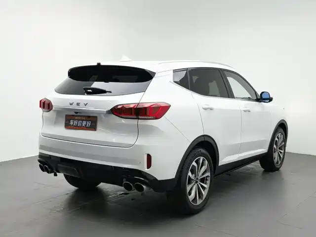 WEY VV6 2018 2.0T 2WD Flagship China V — фото 2